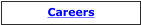 Careers